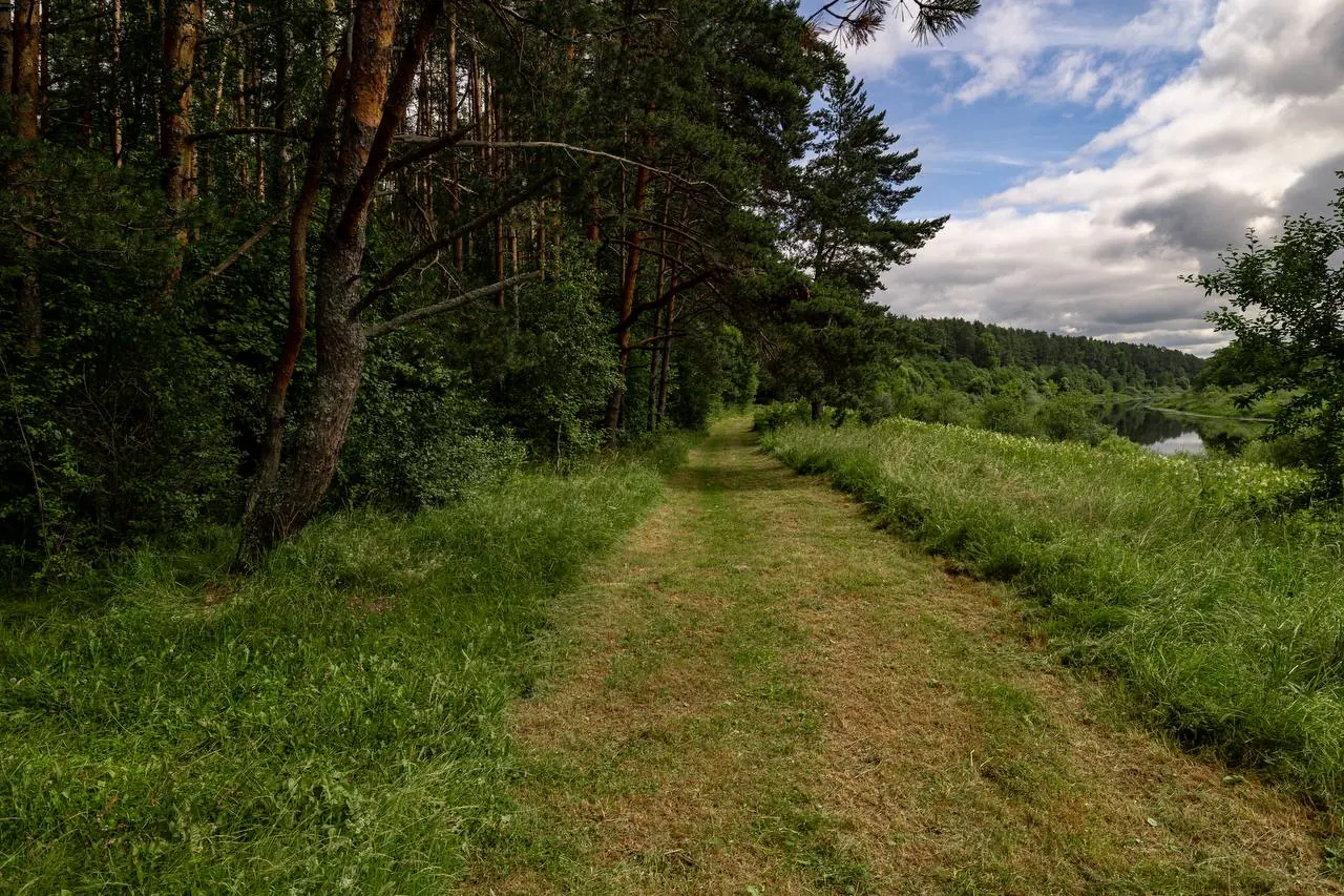 nature 2