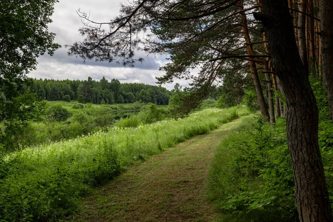 nature 4