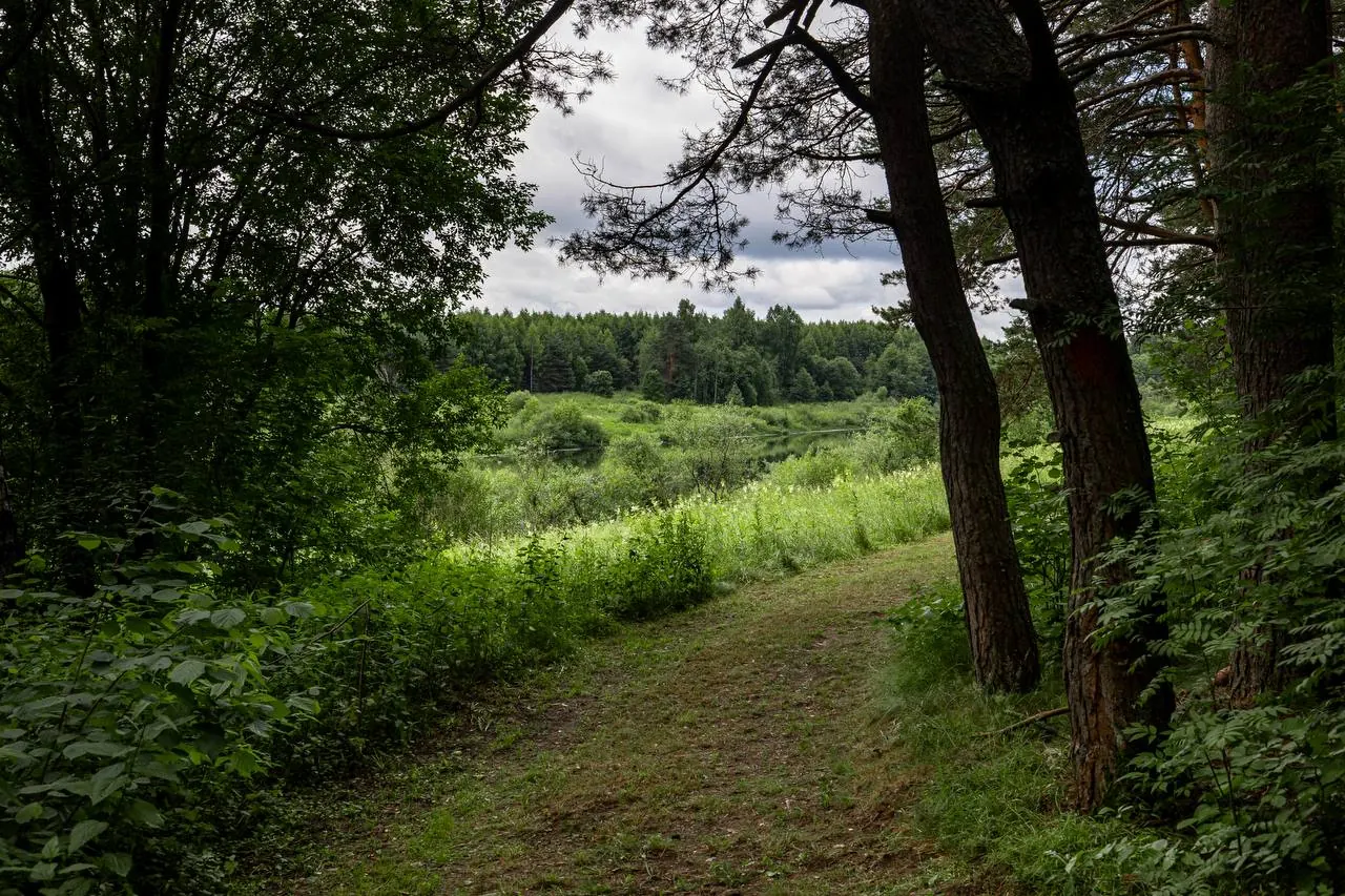 nature 7