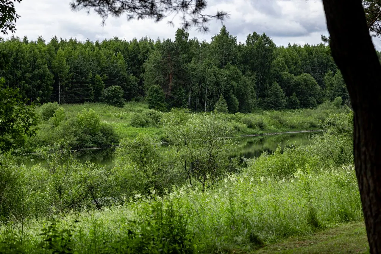 nature 9