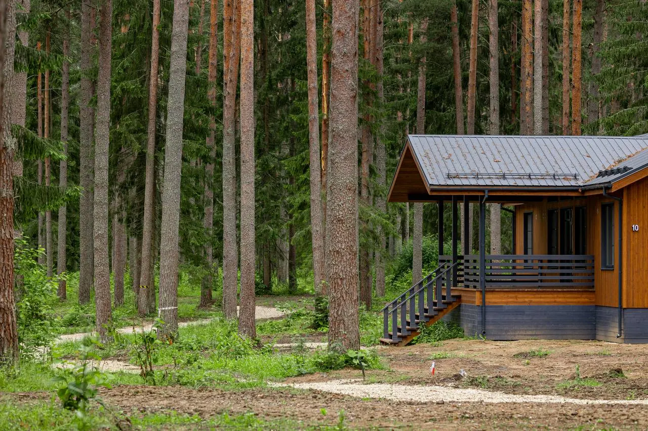 cottage forest path