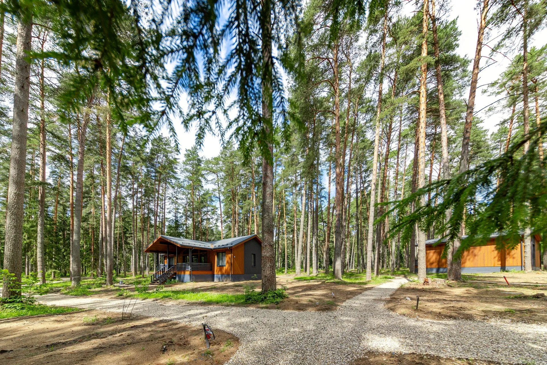 cottages in forest