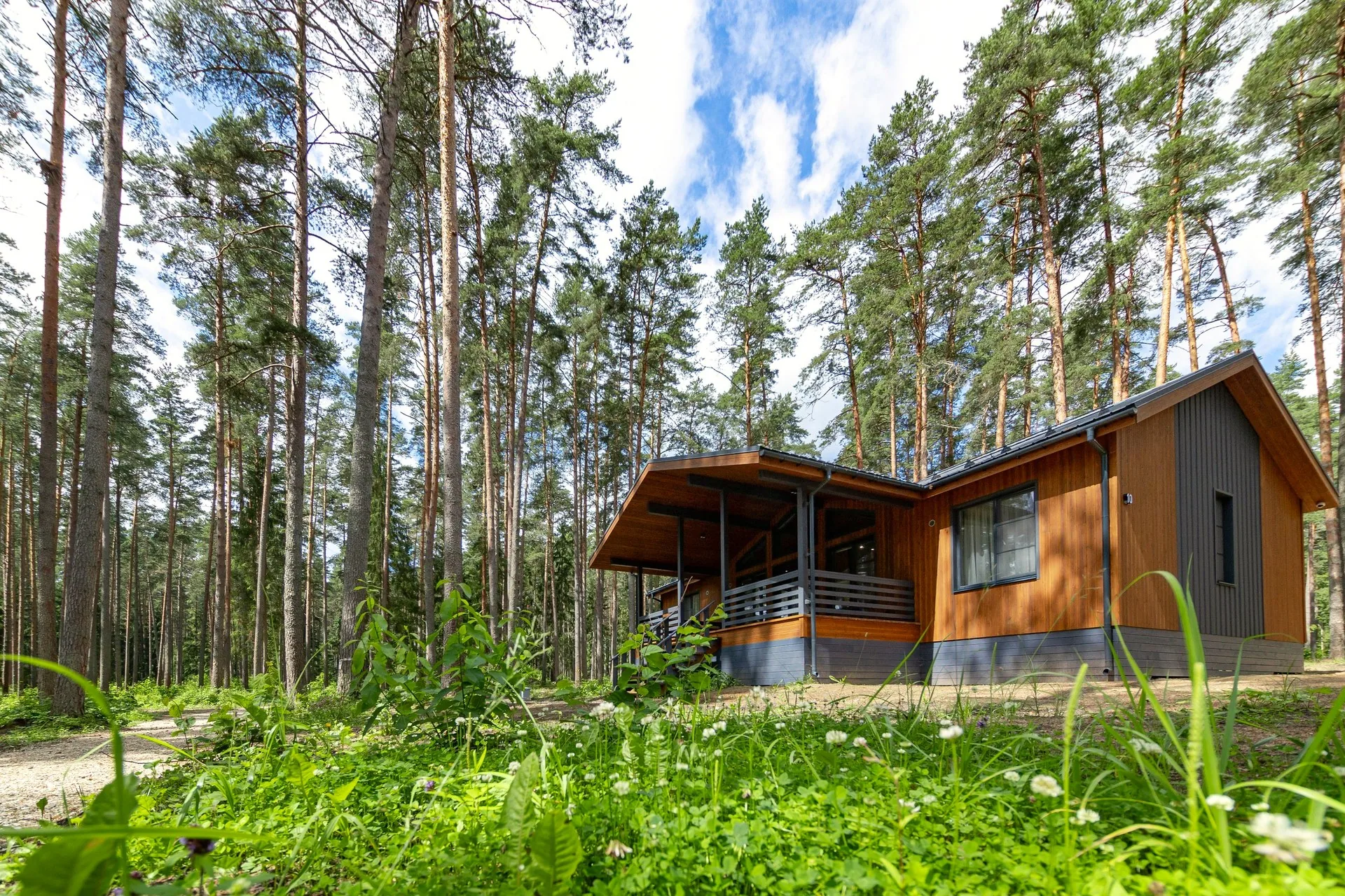 kompanija cottage forest