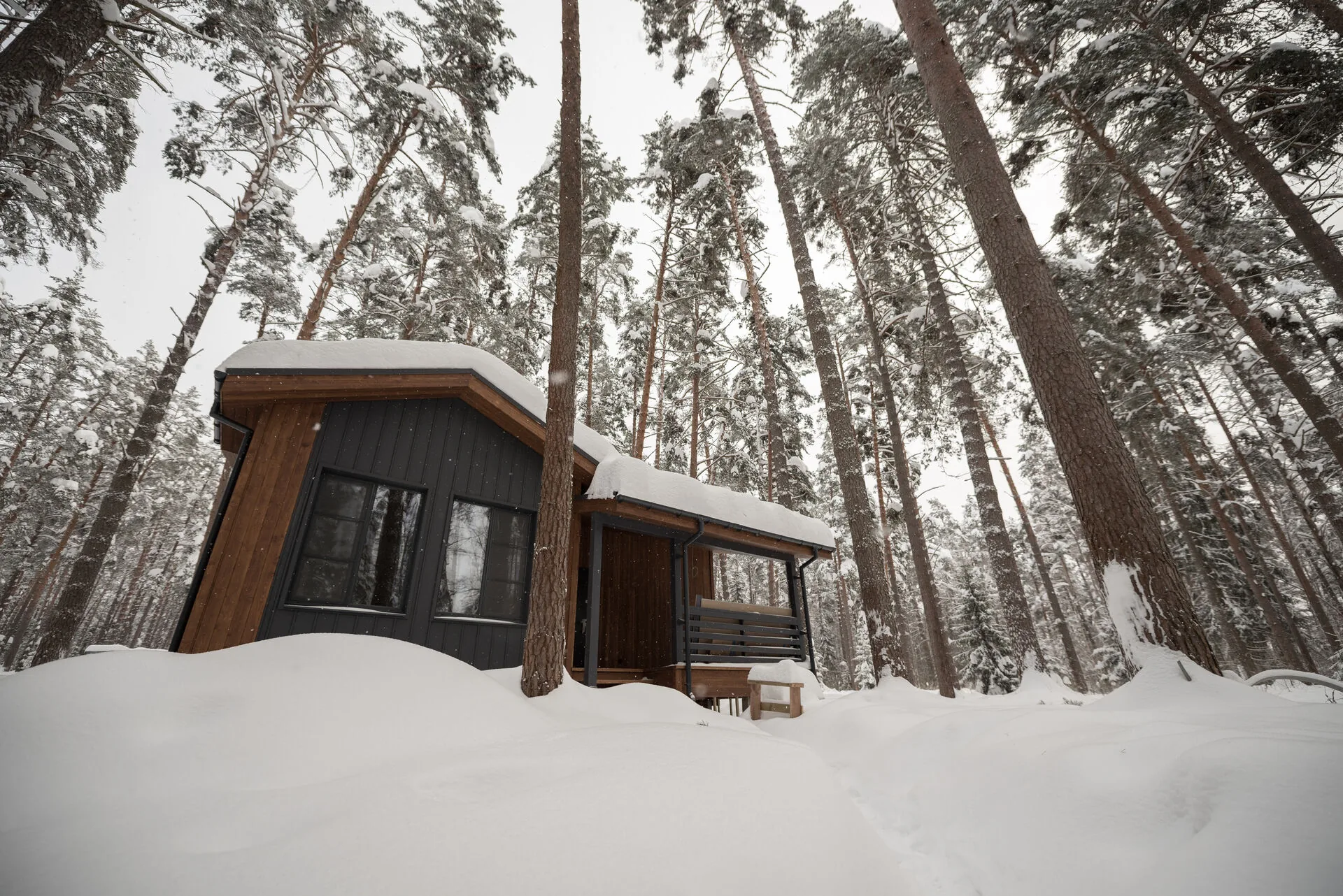 semejnyj exterior winter 3