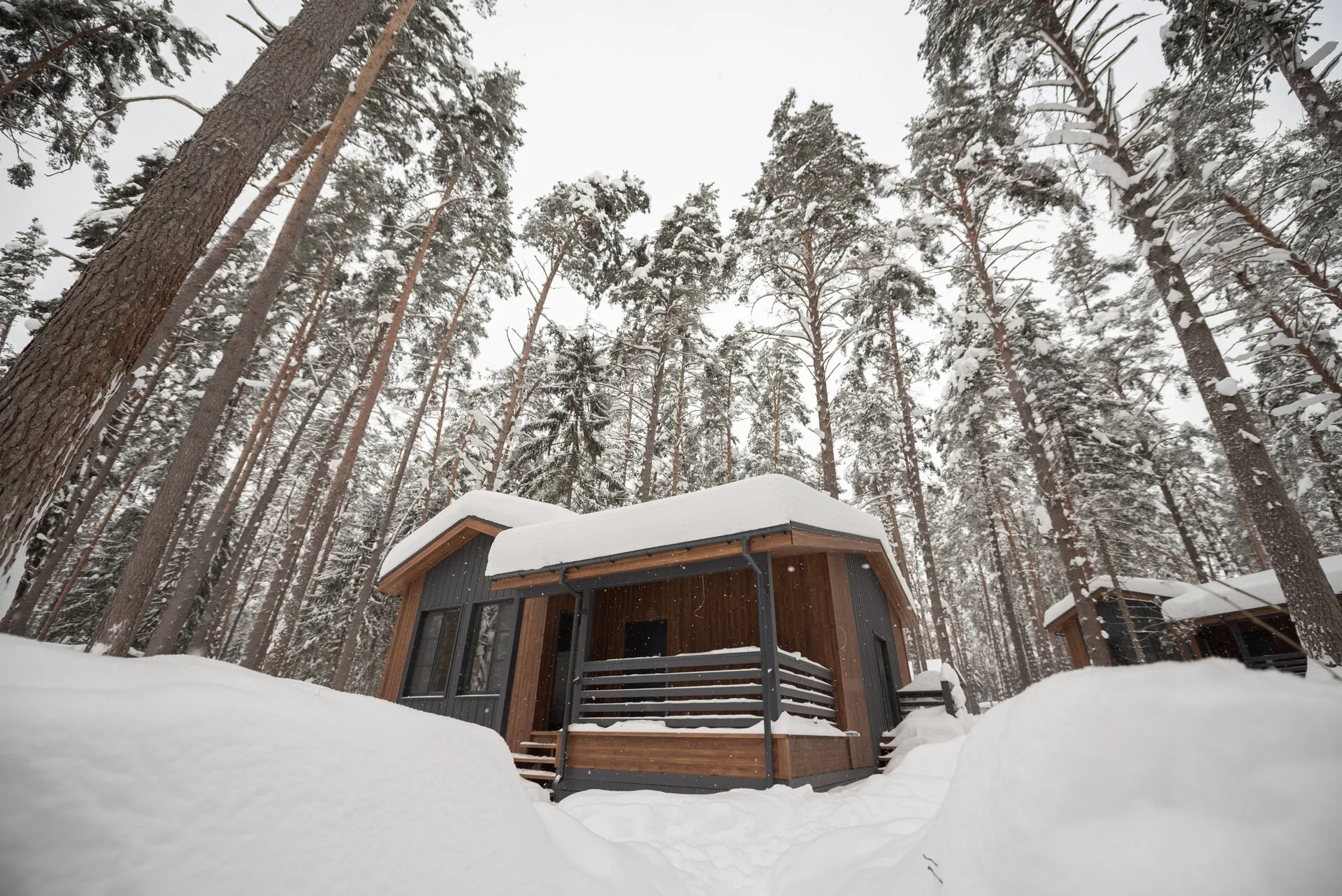 semejnyj exterior winter 4