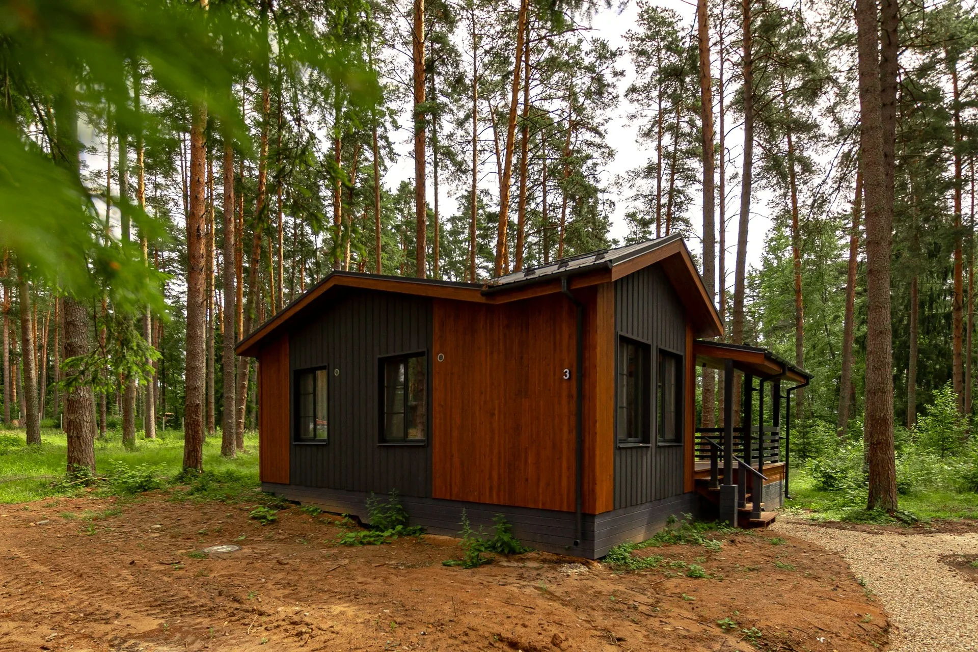 semejnyj forest view 2