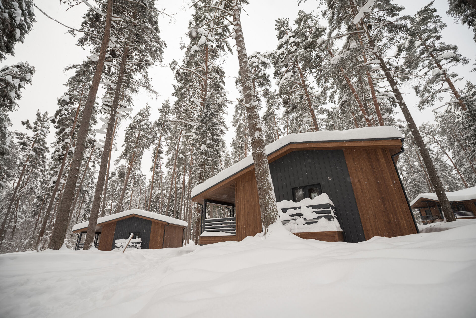 winter cottages row