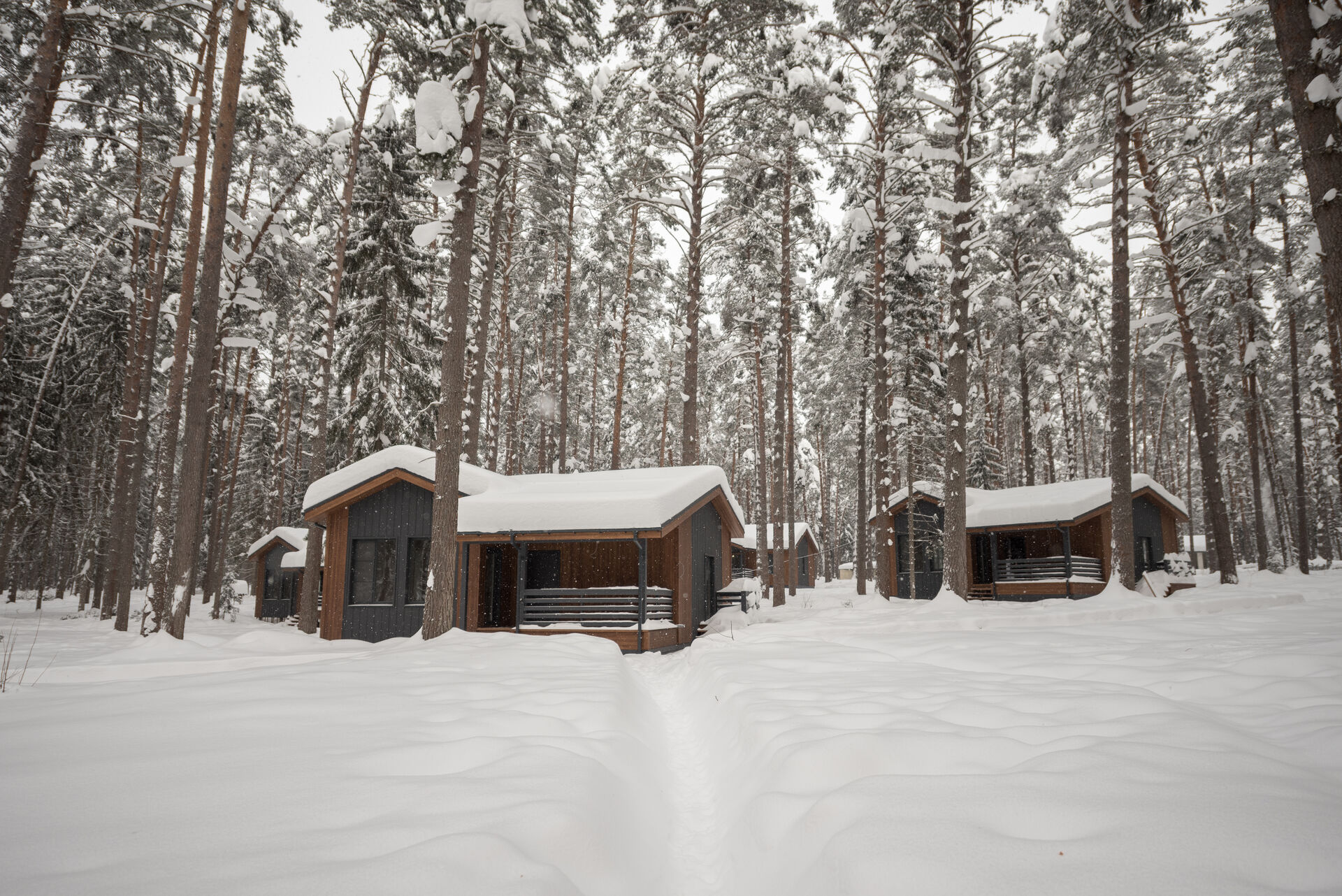 winter panorama