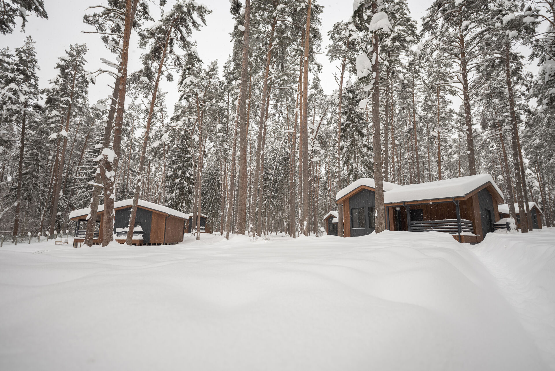 winter territory 1