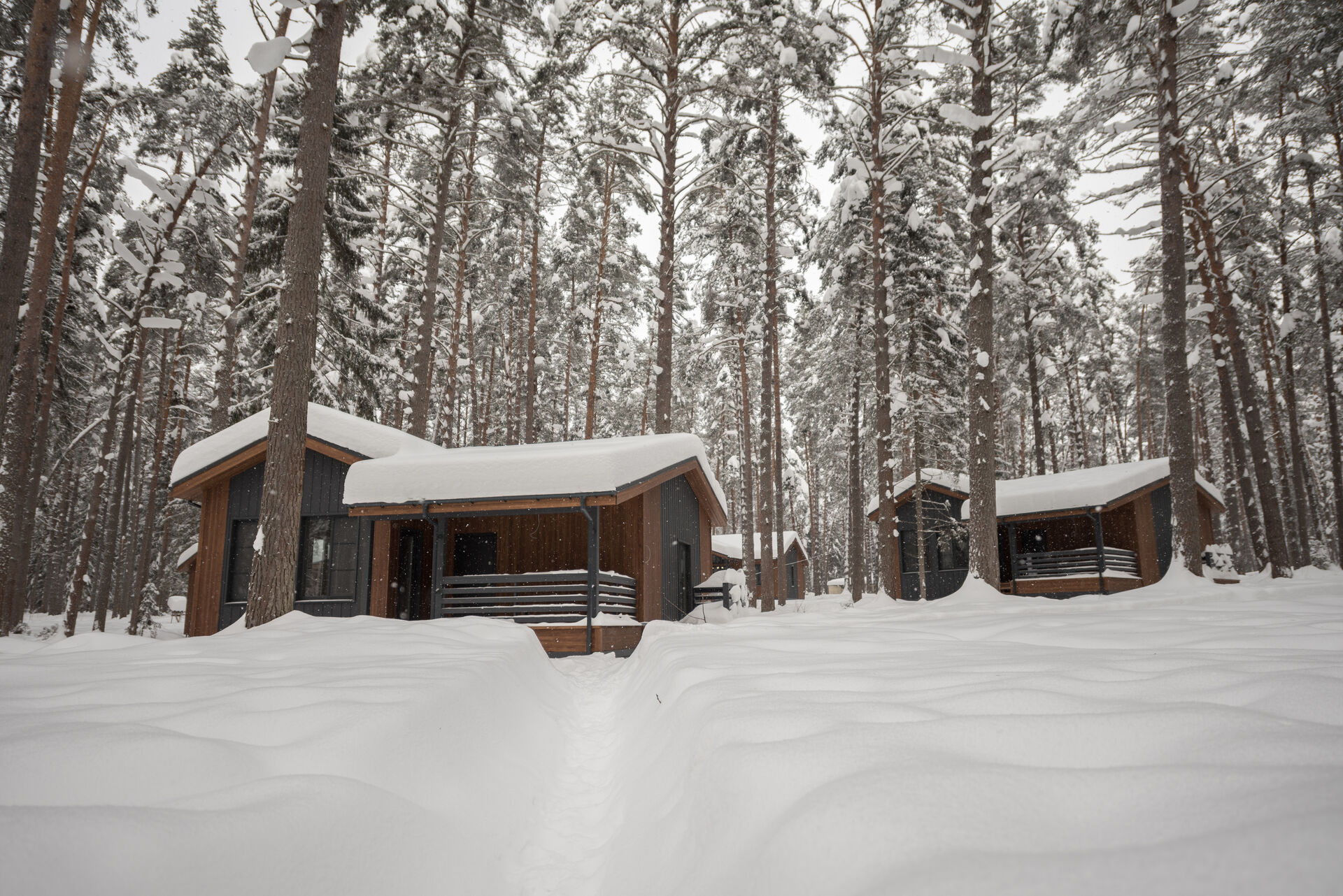 winter territory 2