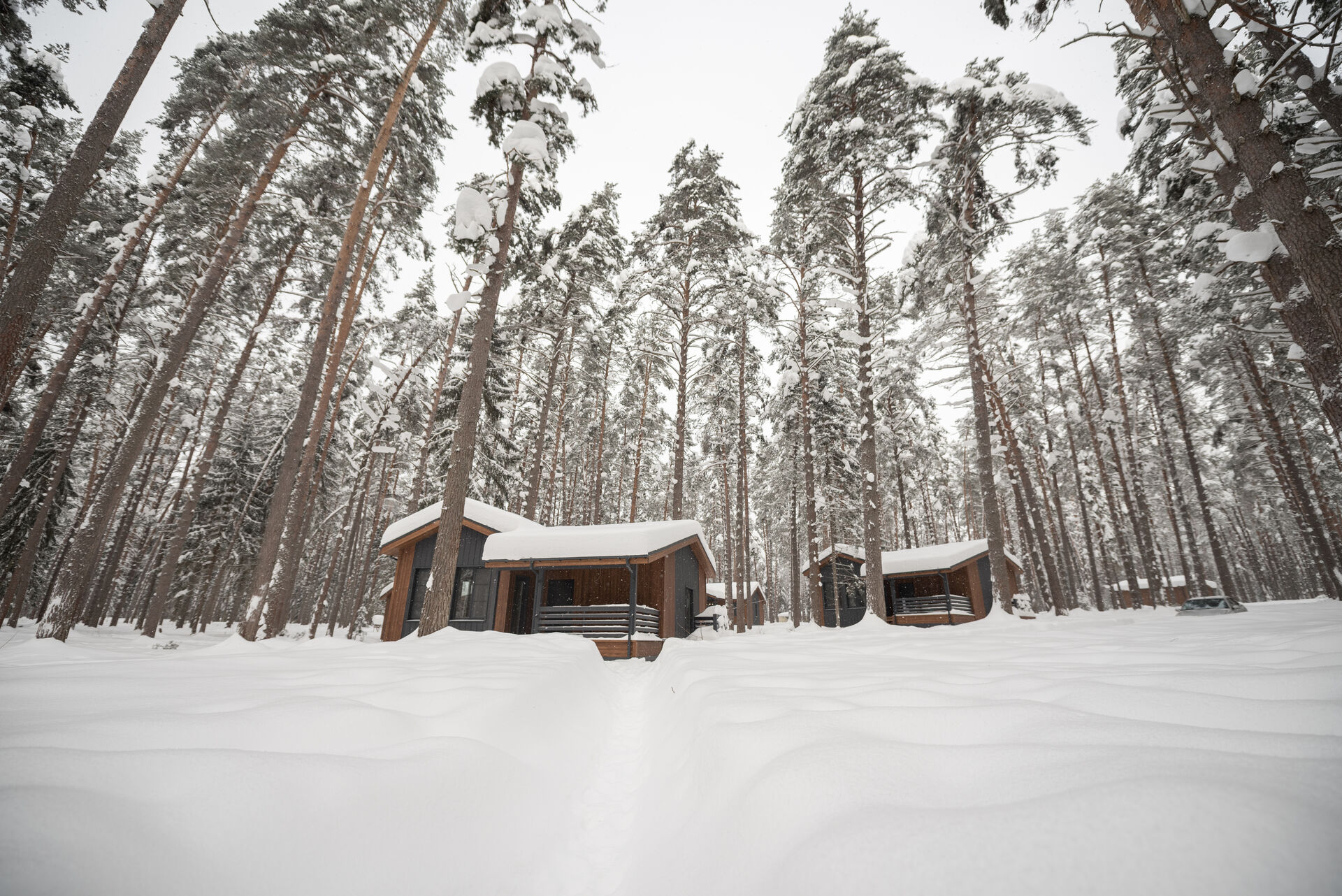 winter territory 3