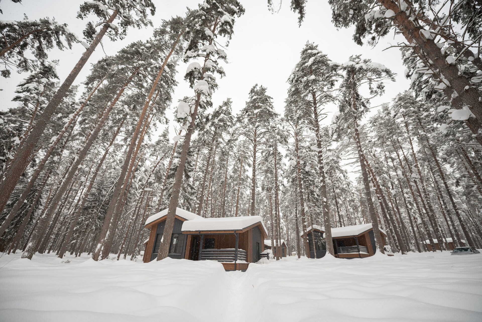 winter territory 4